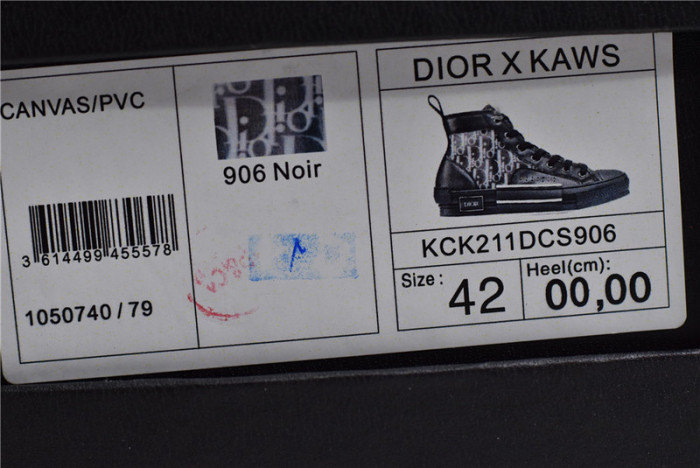 D*or b23 homme kaws low top sneaker